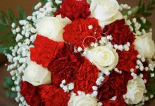 wholesalecarnations.com-strengthens-position-as-a-leader-in-bulk-carnation-supply