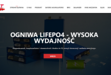 powering-the-future-with-lifepo4-cells:-why-neexgent-and-ogniwa-lifepo4.pl-are-leading-the-charge