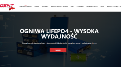 powering-the-future-with-lifepo4-cells:-why-neexgent-and-ogniwa-lifepo4.pl-are-leading-the-charge